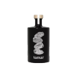 Tamar Gin