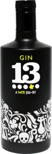Gin 13