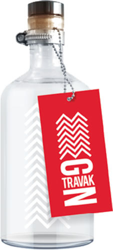 Gin Travak