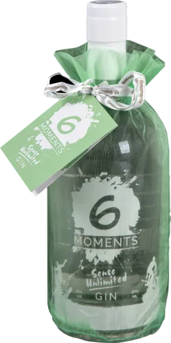 6 Moments Sense Unlimited
