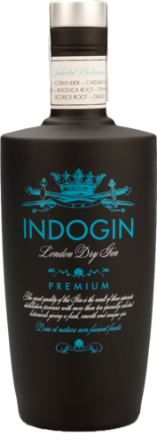 Indogin
