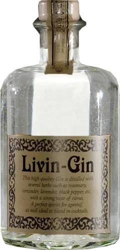 Livin-Gin