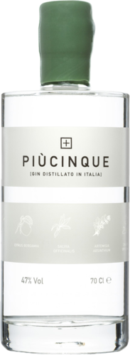 Piùcinque Italian Dry Gin