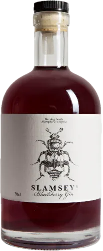 Slamsey's Blackberry Gin