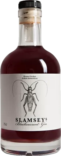 Slamsey's Blackcurrant Gin