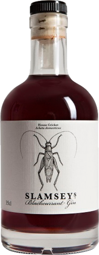 Slamsey's Blackcurrant Gin