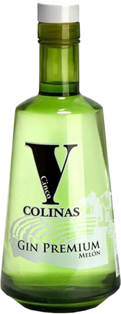 Cinco Colinas Gin Premium Melón
