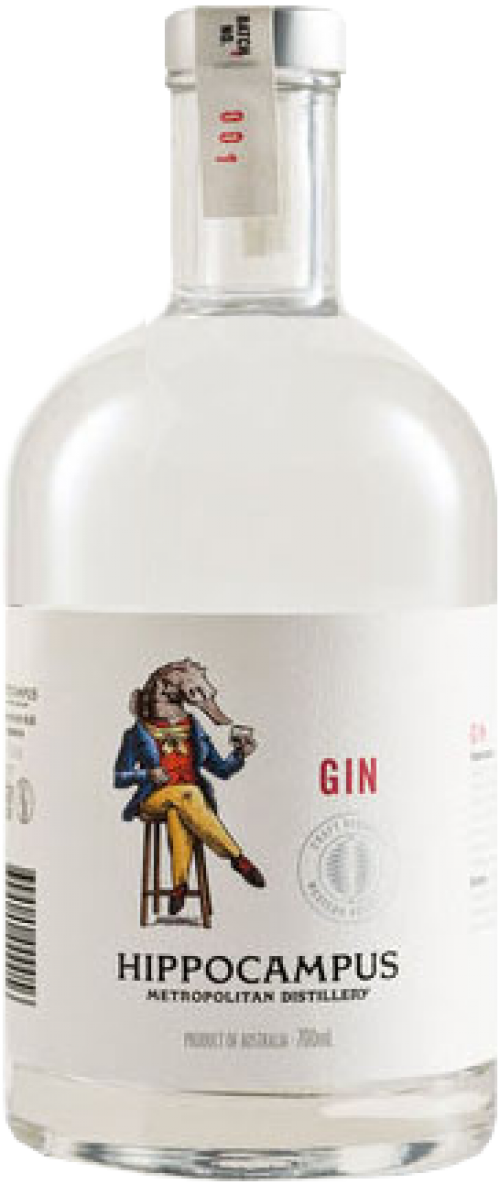 Hippocampus Gin