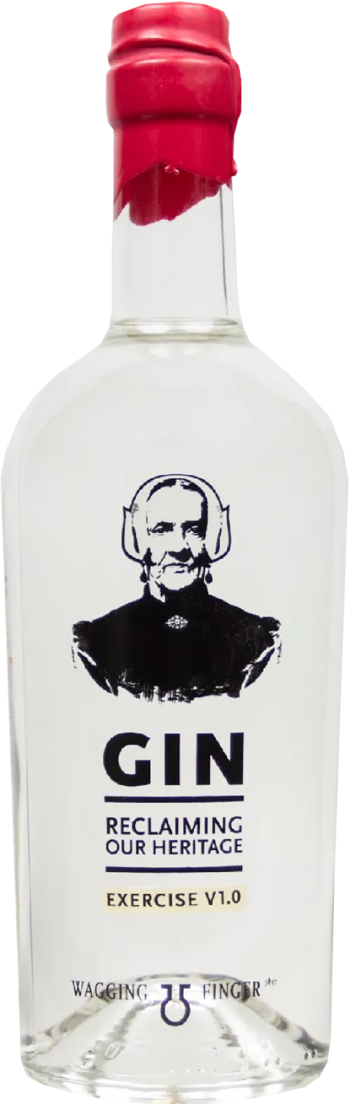 Wagging Finger Gin Exercise V1.0