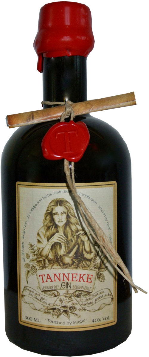 Tanneke Gin