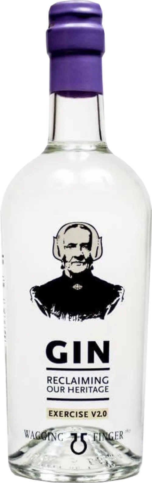 Wagging Finger Gin Exercise V2.0