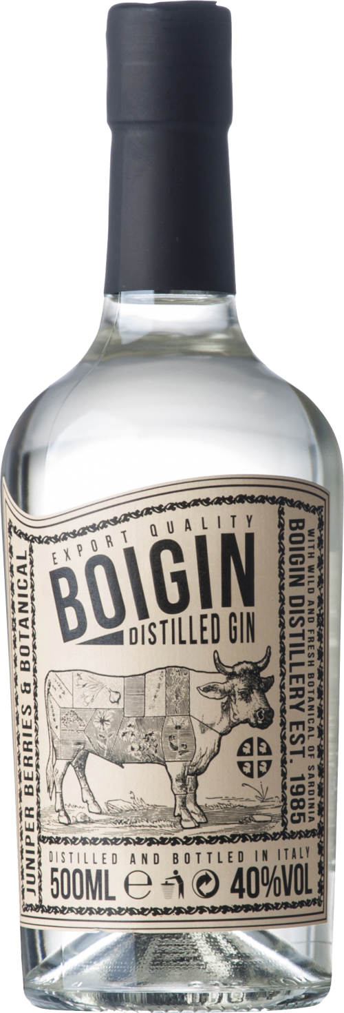 Boigin