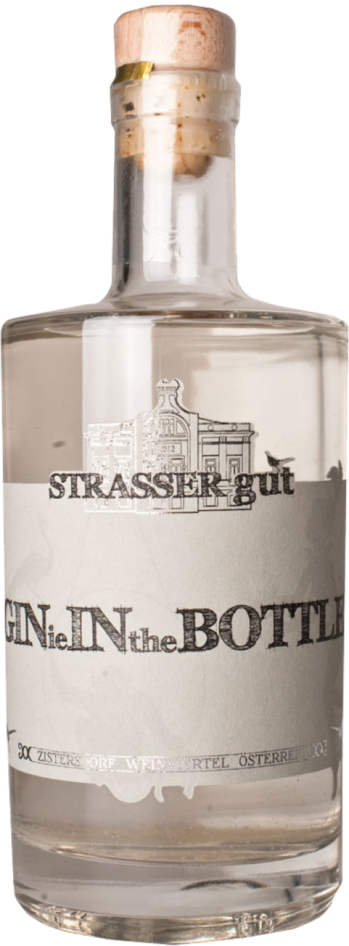 Ginie In The Bottle