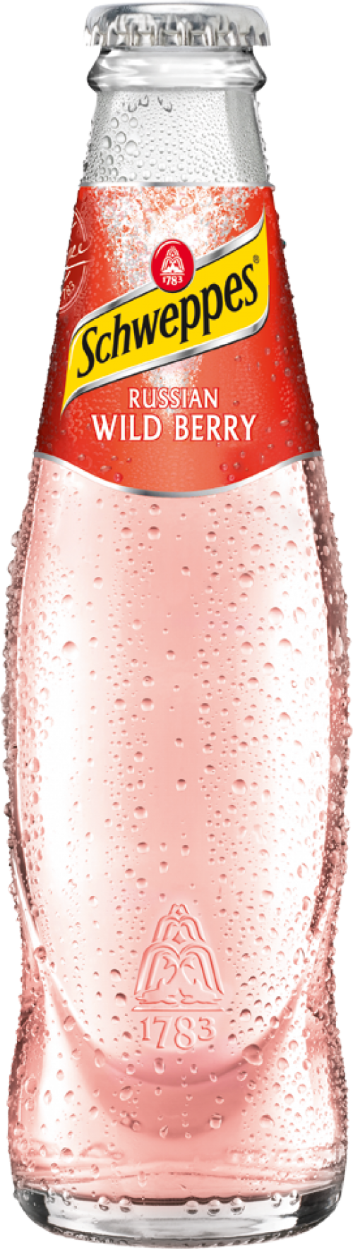 Schweppes Russian Wild Berry