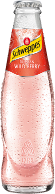 Schweppes Russian Wild Berry