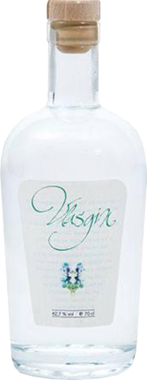 Vlasgin