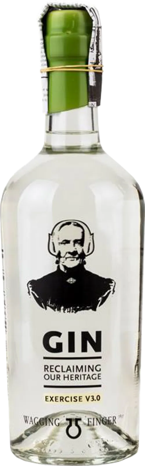 Wagging Finger Gin Exercise V3.0