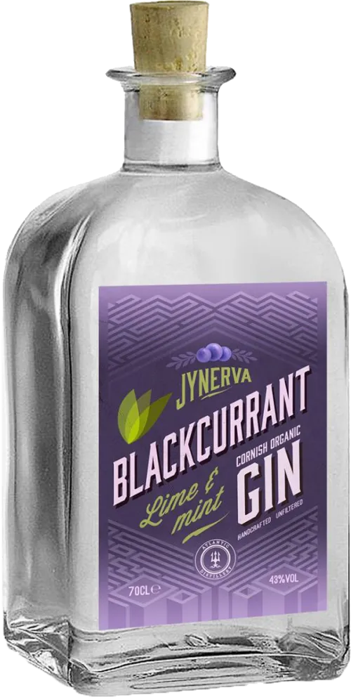 Jynerva Blackcurrant Cornish Organic Gin Lime & Mint