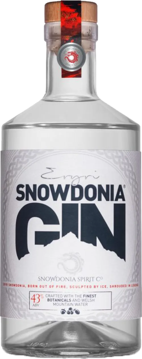 Eryri Snowdonia Gin