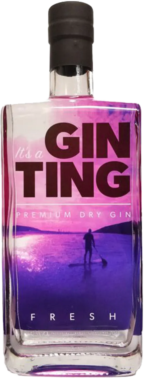 Gin Ting Premium Dry Gin
