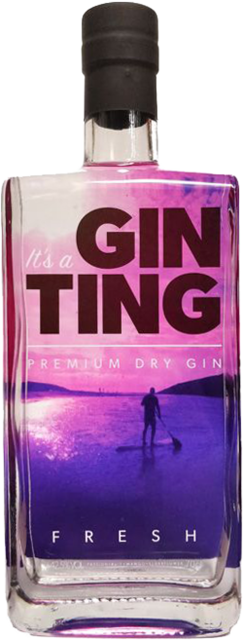 Gin Ting Premium Dry Gin