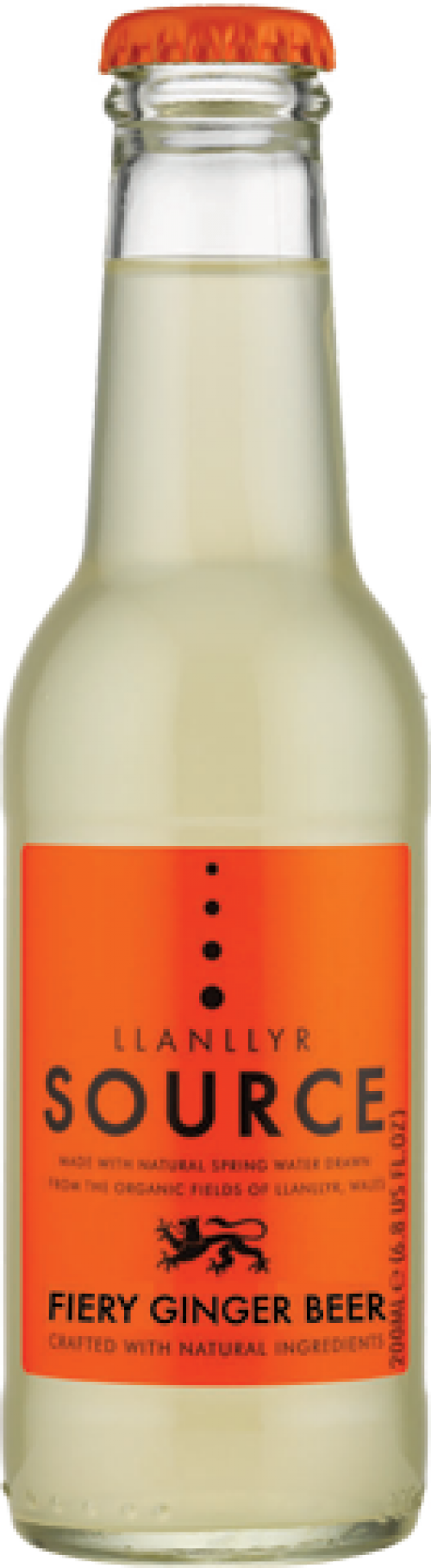 Llanllyr Source Fiery Ginger Beer