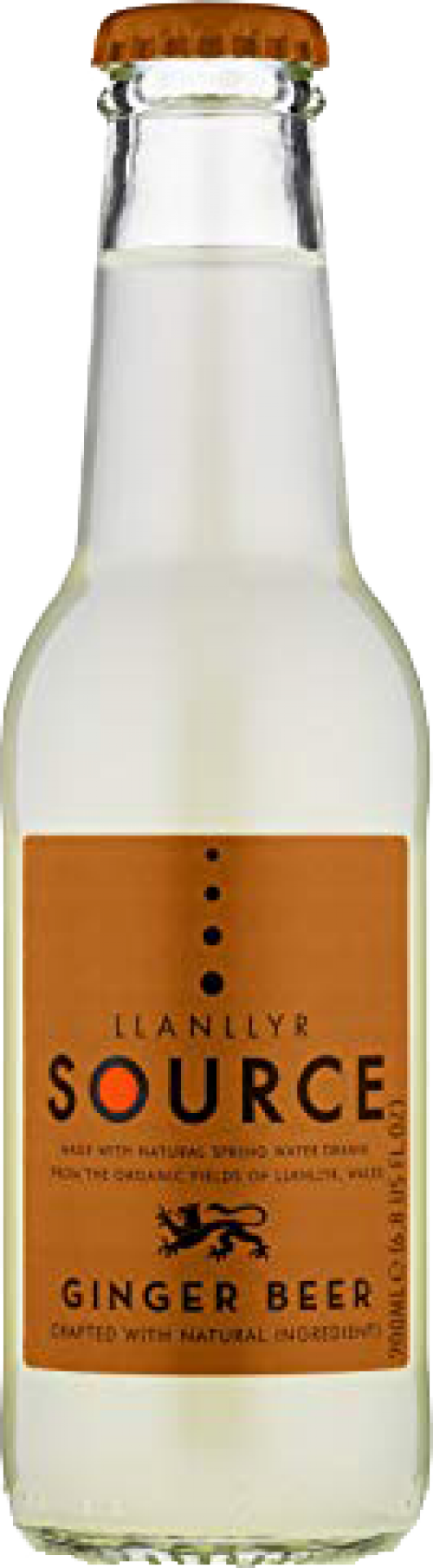 Llanllyr Source Ginger Beer