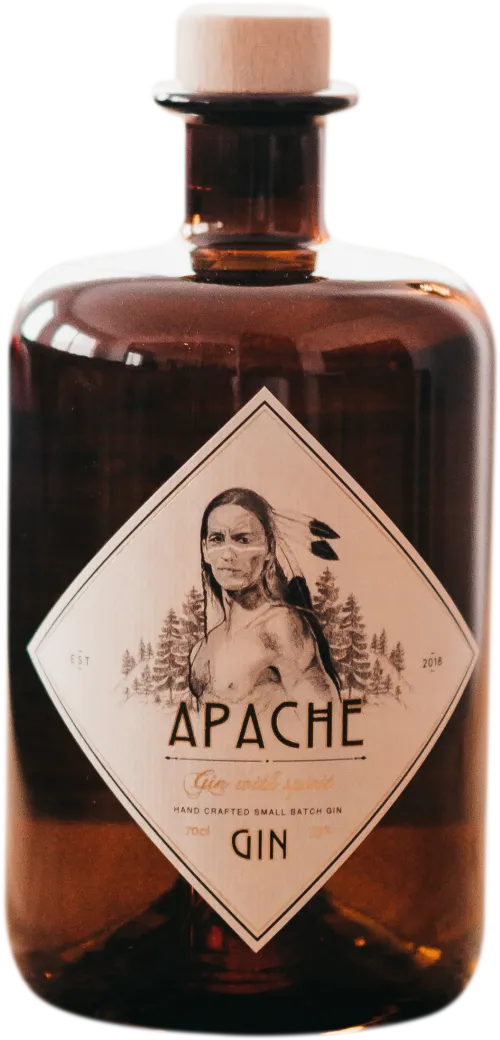 Apache Gin