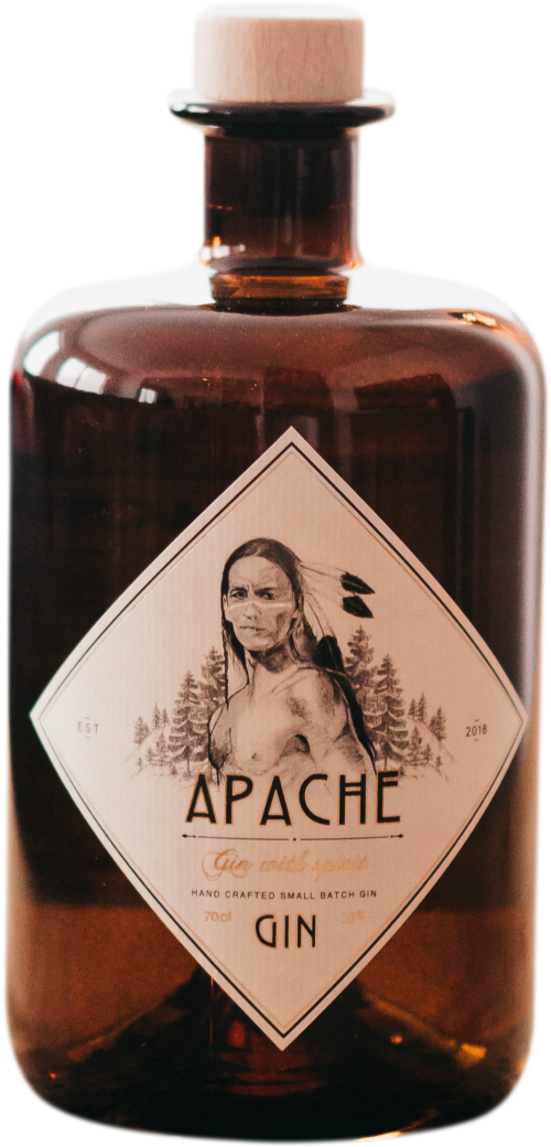 Apache Gin