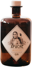 Apache Gin