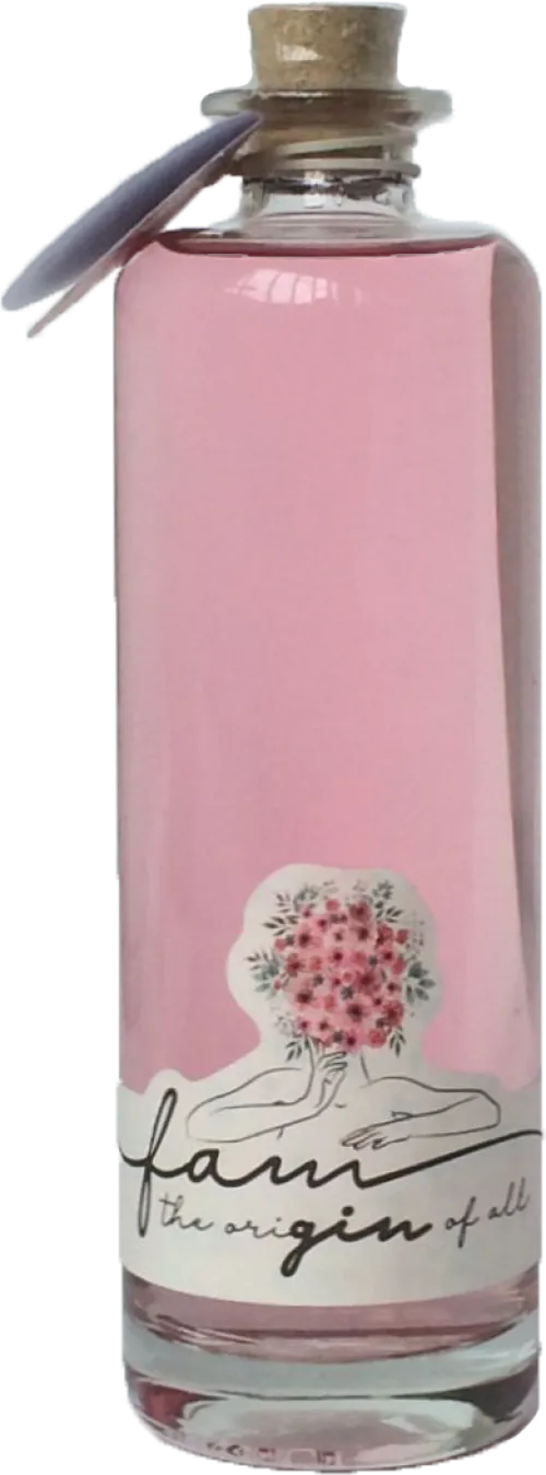 Fam Gin The Origin Of All