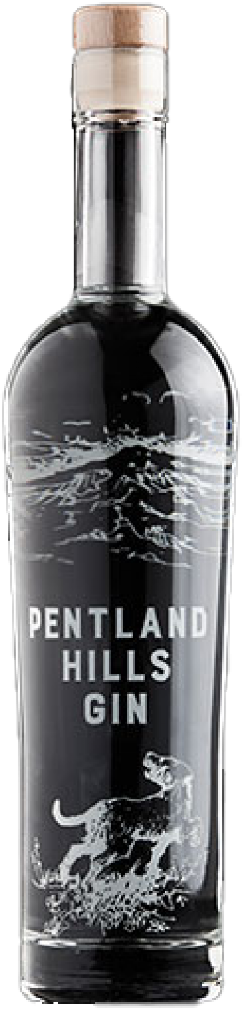 Pentland Hills Gin