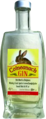 Coineanach Gin