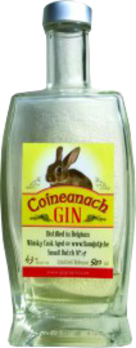 Coineanach Gin