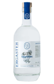 SAUVAGE GIN - Ascendance