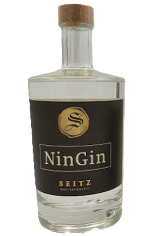 Ningin Seitz