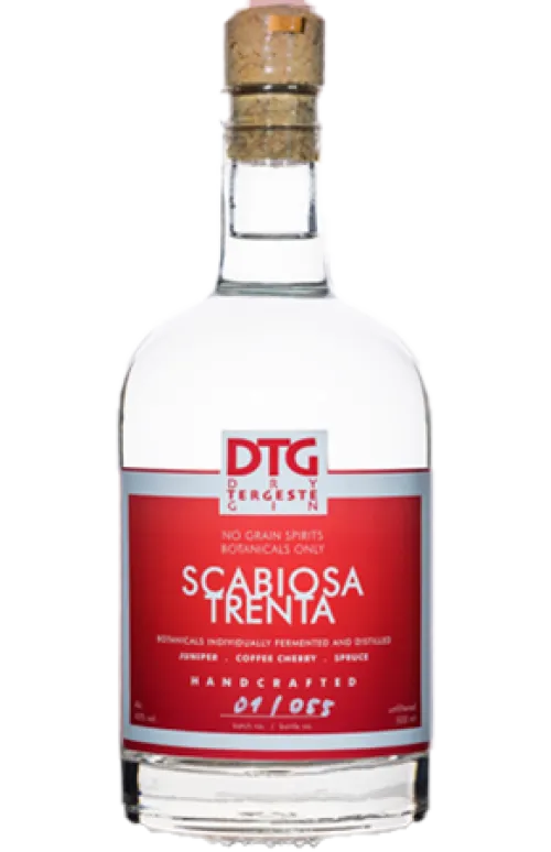 DTG GIN SCABIOSA TRENTA