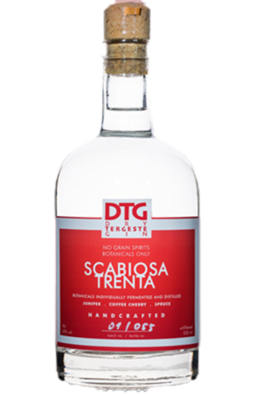 DTG GIN SCABIOSA TRENTA