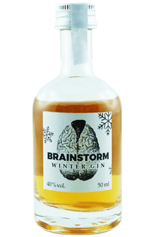 Brainstorm Gin Winter Edition