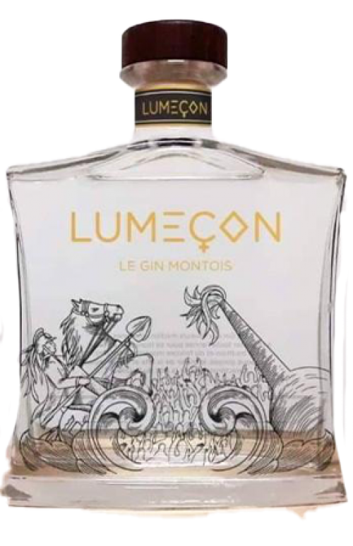 Lumeçon Le Gin Montois