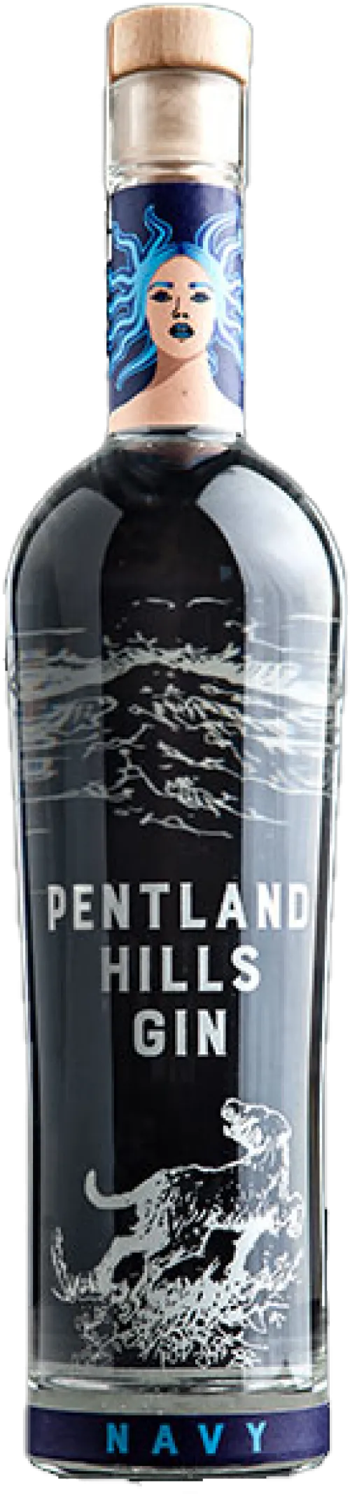Pentland Hills Gin Navy Strength