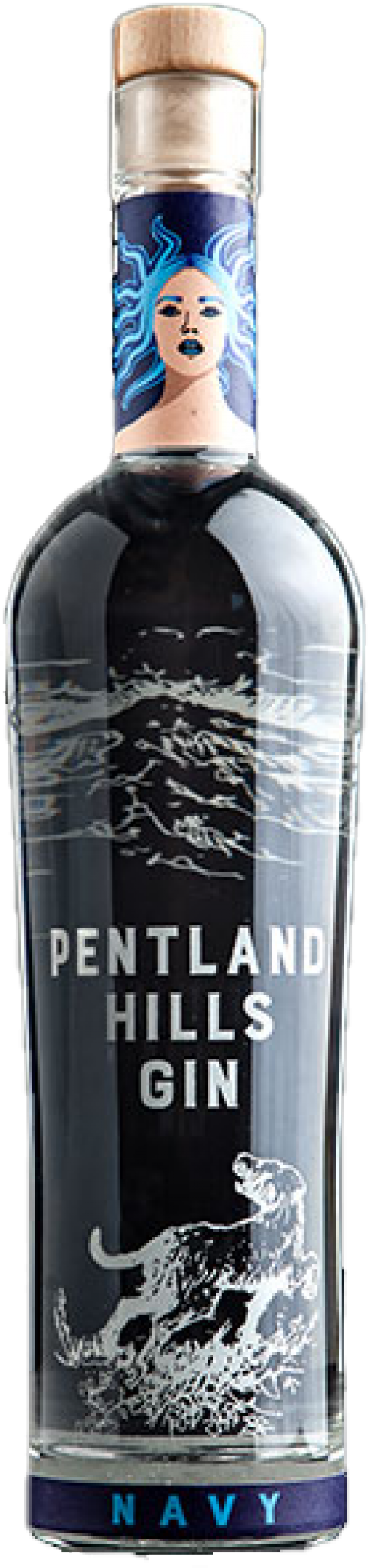 Pentland Hills Gin Navy Strength