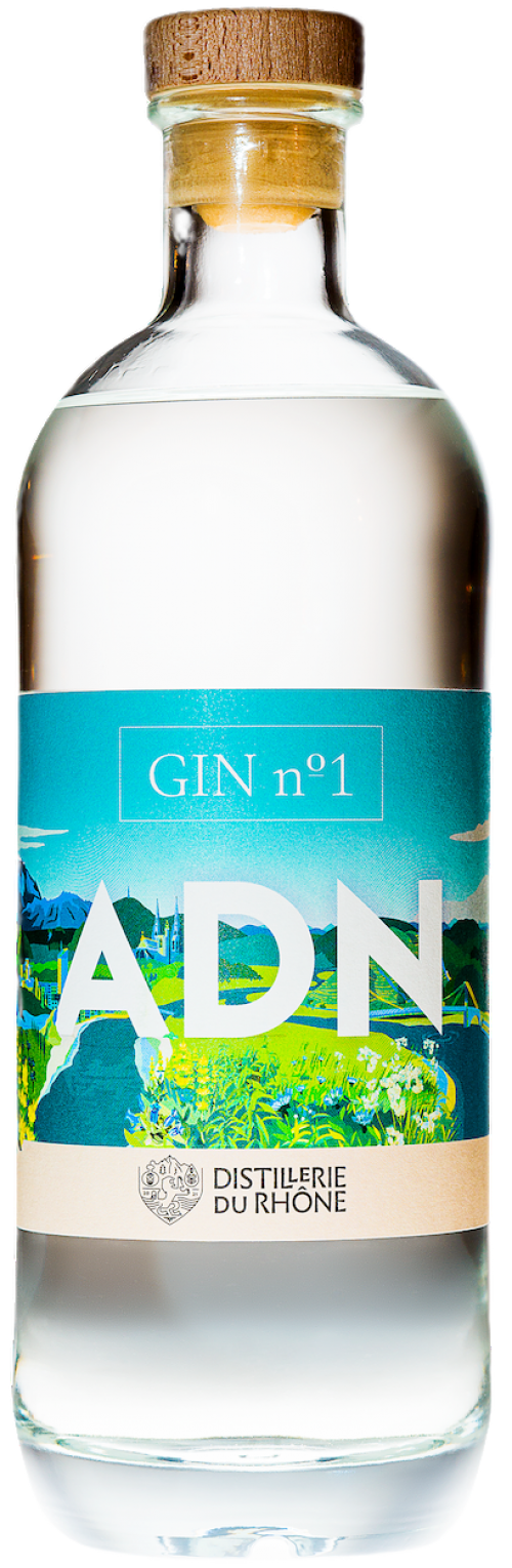 GIN n°1 ADN