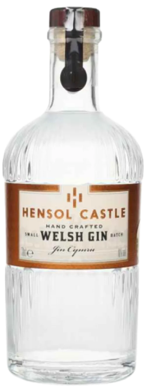 Hensol Castle Welsh Dry Gin