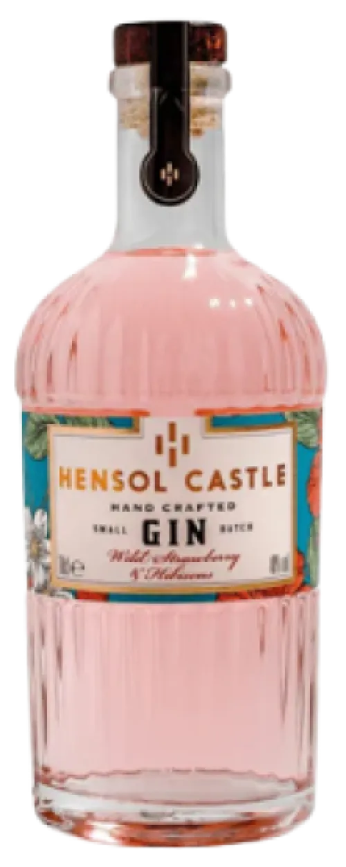 Hensol Castle Wild Strawberry & Hibiscus Gin
