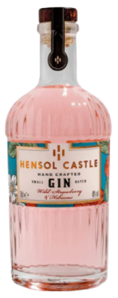 Hensol Castle Wild Strawberry & Hibiscus Gin