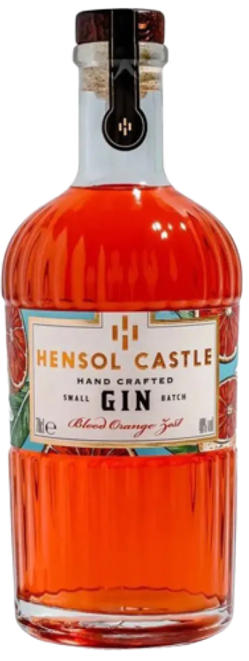 Hensol Castle Blood Orange Zest Gin