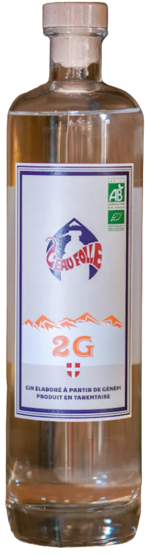 2G
