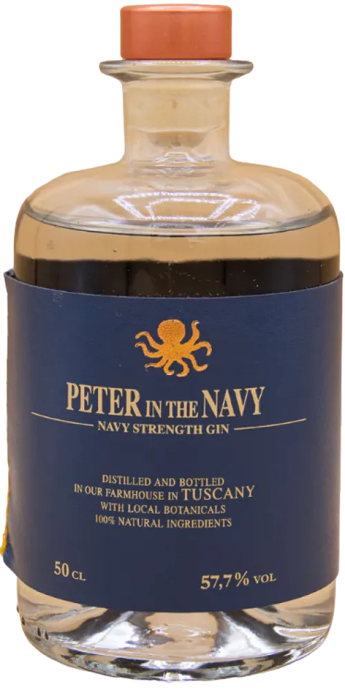 Peter in Florence Peter in the navy