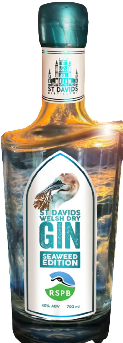 St David's Seaweed Welsh Dry Gin